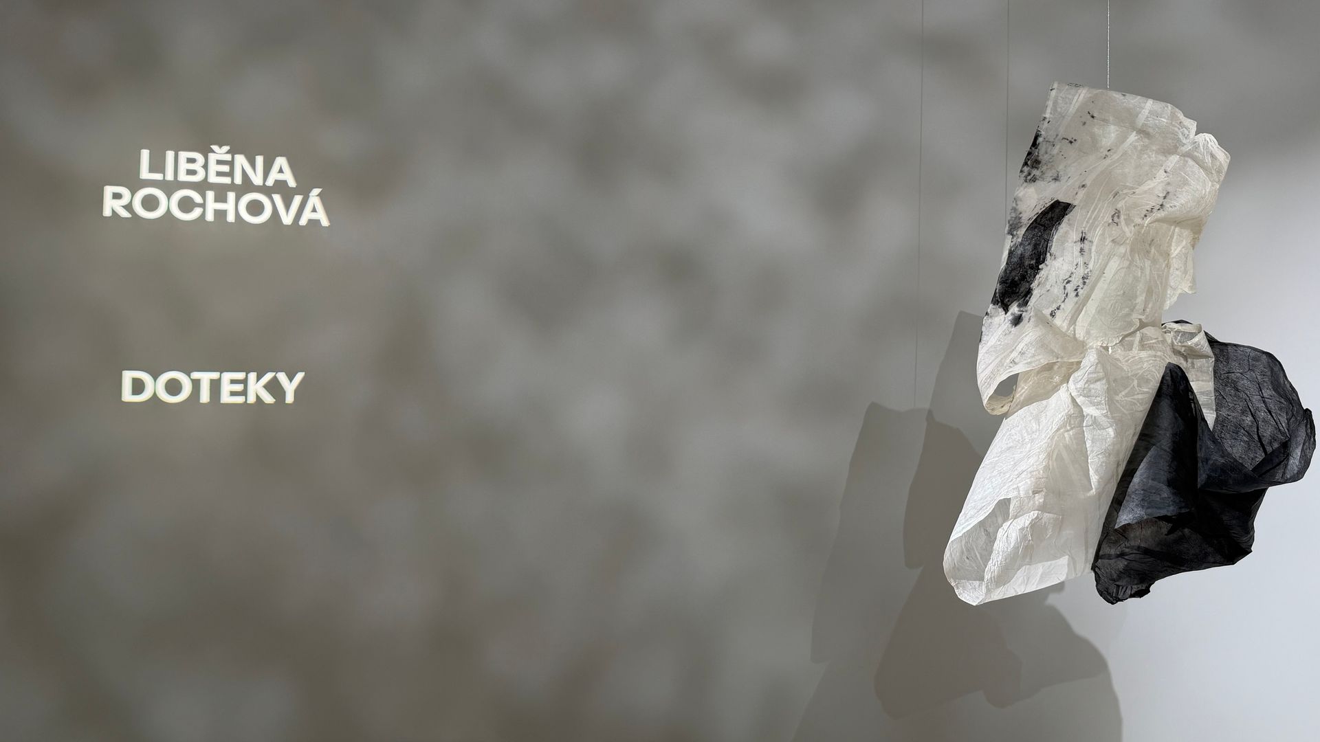 Liběna-rochová2
